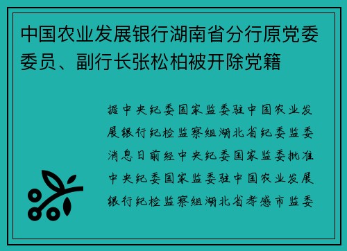 中国农业发展银行湖南省分行原党委委员、副行长张松柏被开除党籍