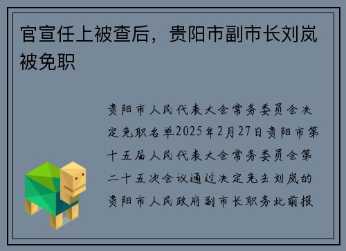 官宣任上被查后，贵阳市副市长刘岚被免职