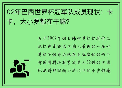 02年巴西世界杯冠军队成员现状：卡卡，大小罗都在干嘛？